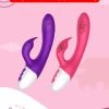 1 The Multi-charging 10-Mode Rabbit Vibrator