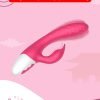 2 The Multi-charging 10-Mode Rabbit Vibrator