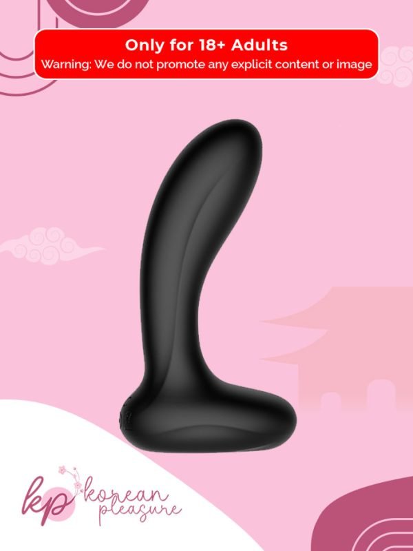 2 The Sleek and Black Prostate Vibrator with USB Port