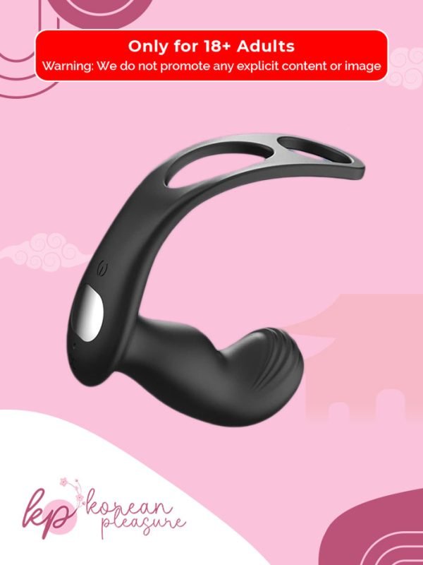 2 Anal Butt Plug Prostate Massager with 9 Vibration Modes